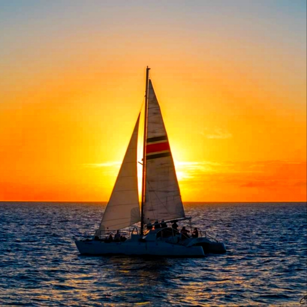 Mailbox - Picture 3 of 6